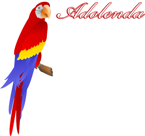 lista de limbi traduse